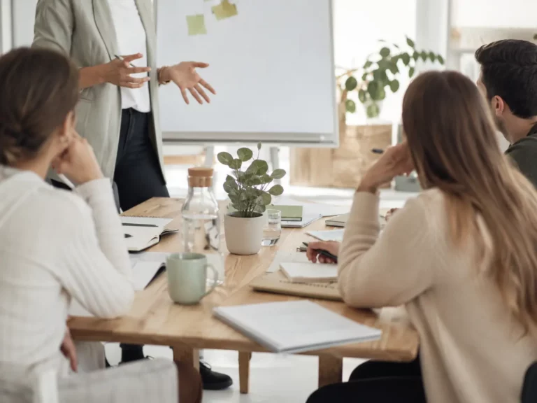 Formation des professionnels